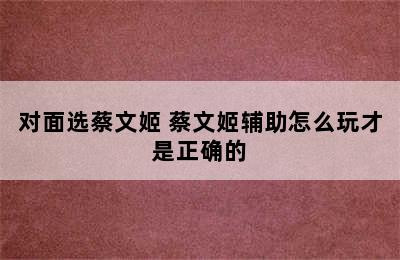 对面选蔡文姬 蔡文姬辅助怎么玩才是正确的